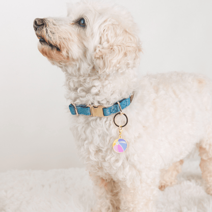 Beach Ball Pet Charm