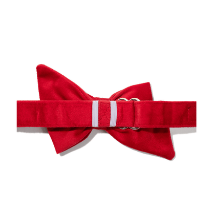 Blaze Dog Babe Bow