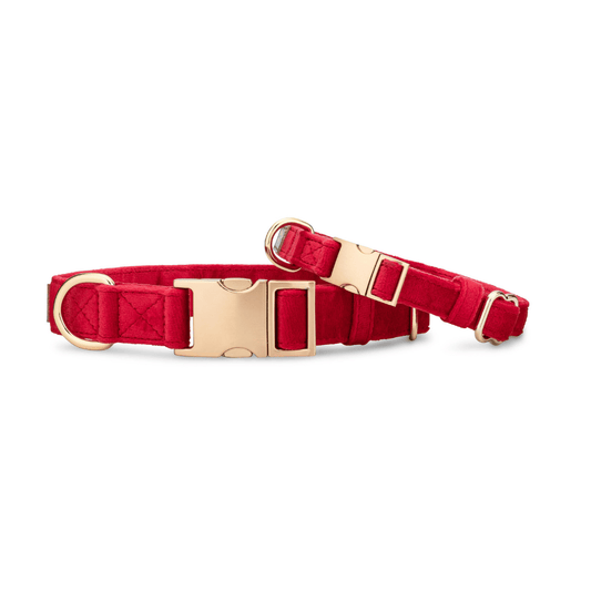 Blaze Dog Collar
