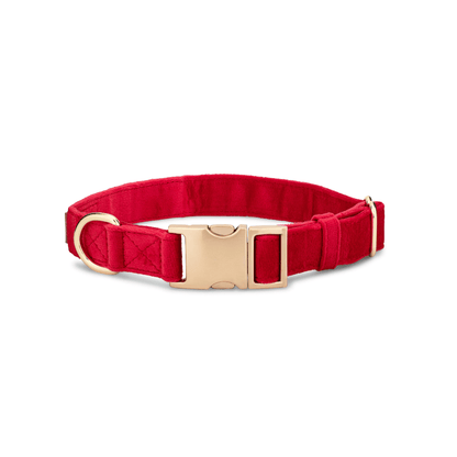 Blaze Dog Collar