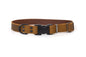 Celtic Sport Leather Collar