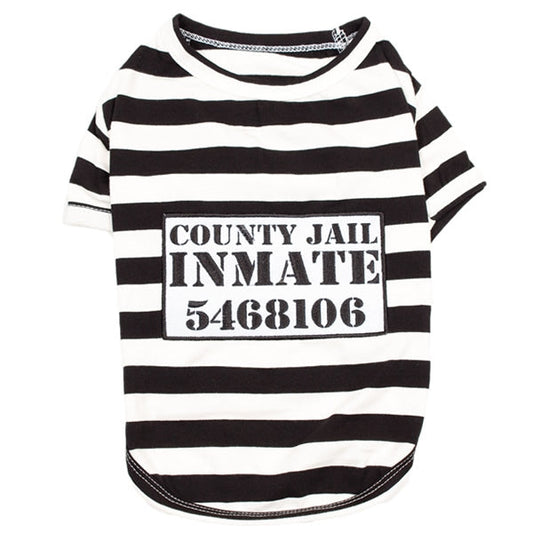 Furry Inmate - Original