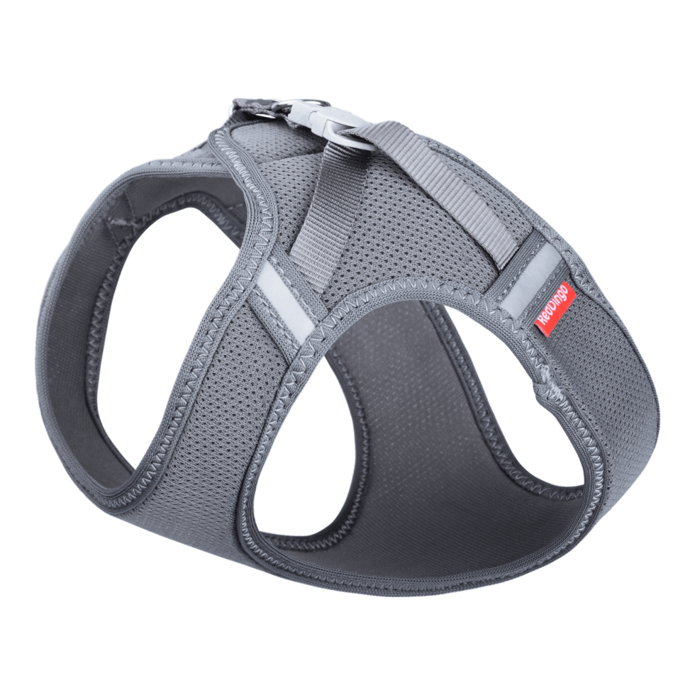 Cat Mesh Harness Cool Grey