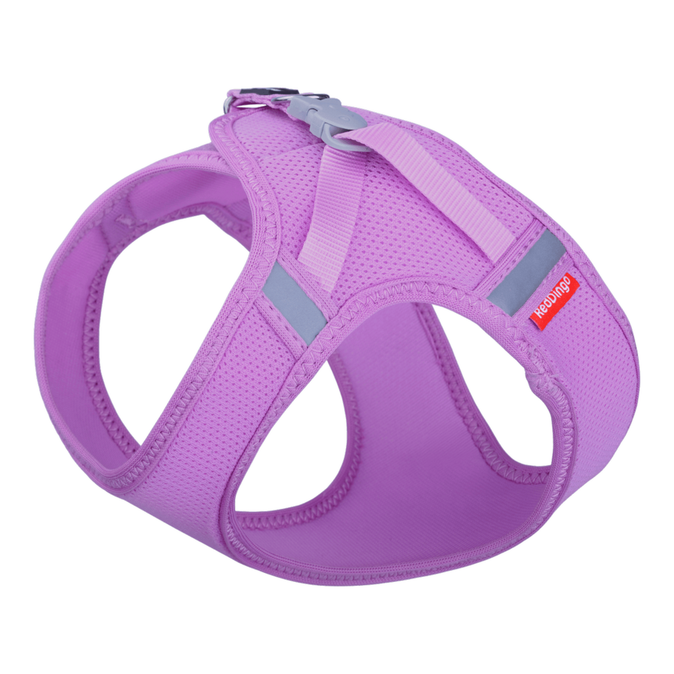 Cat Mesh Harness Mauve