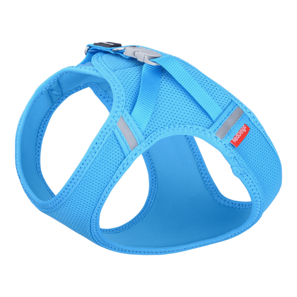 Cat Mesh Harness Turquoise