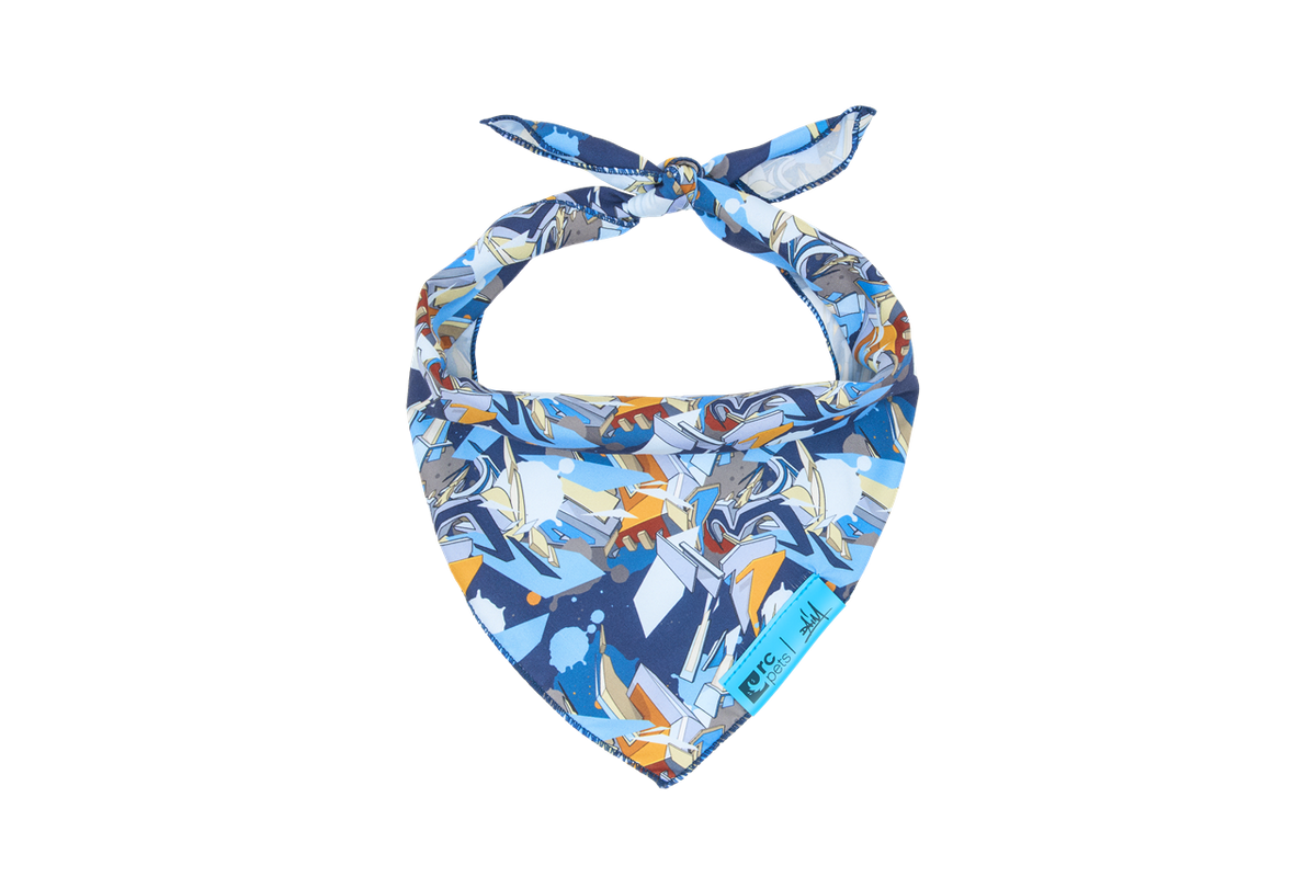 RC Pet Products Artist Series Bandana - Daim D1