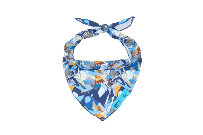 RC Pet Products Artist Series Bandana - Daim D1