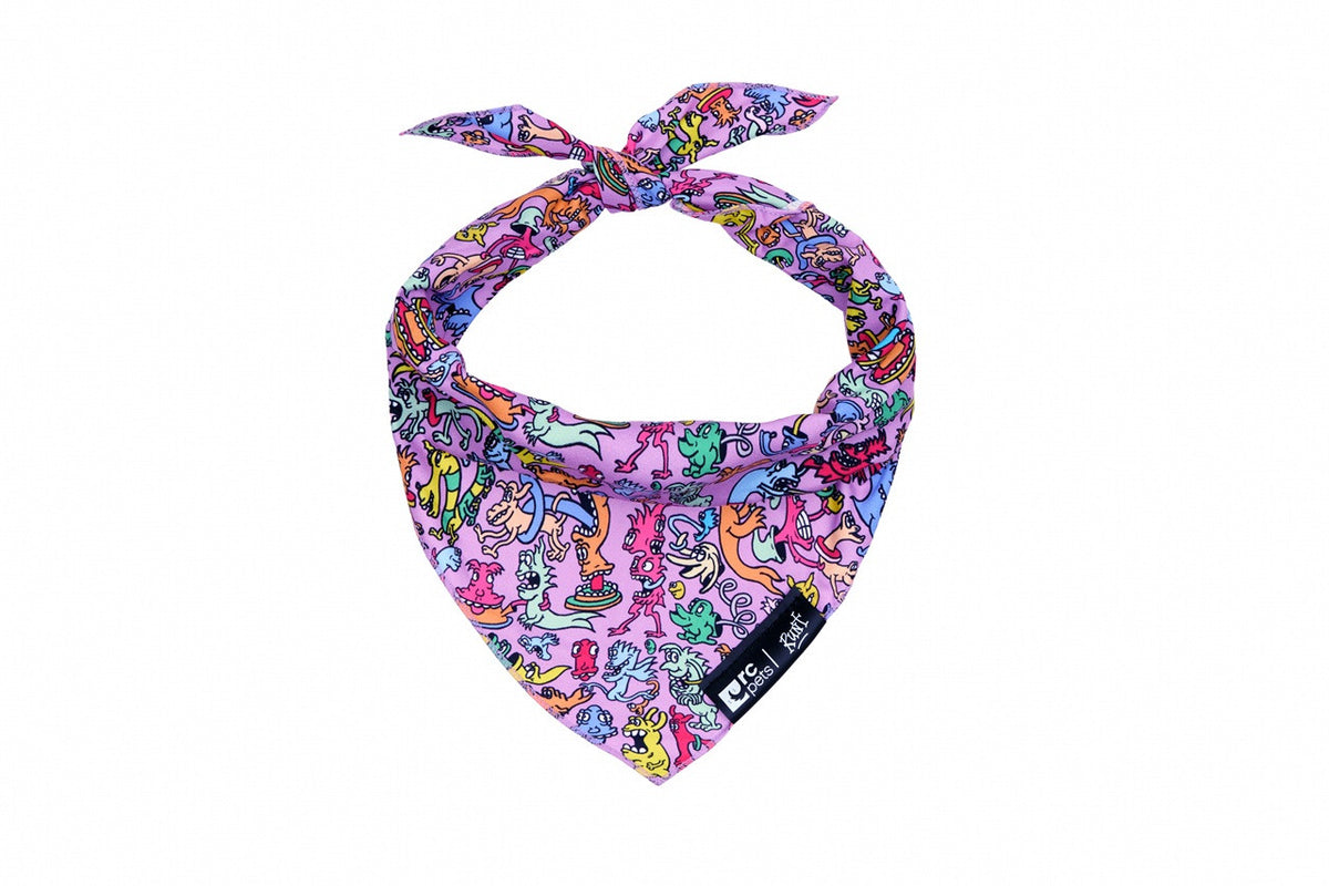 RC Pet Products Artist Series Bandana - Runt R1