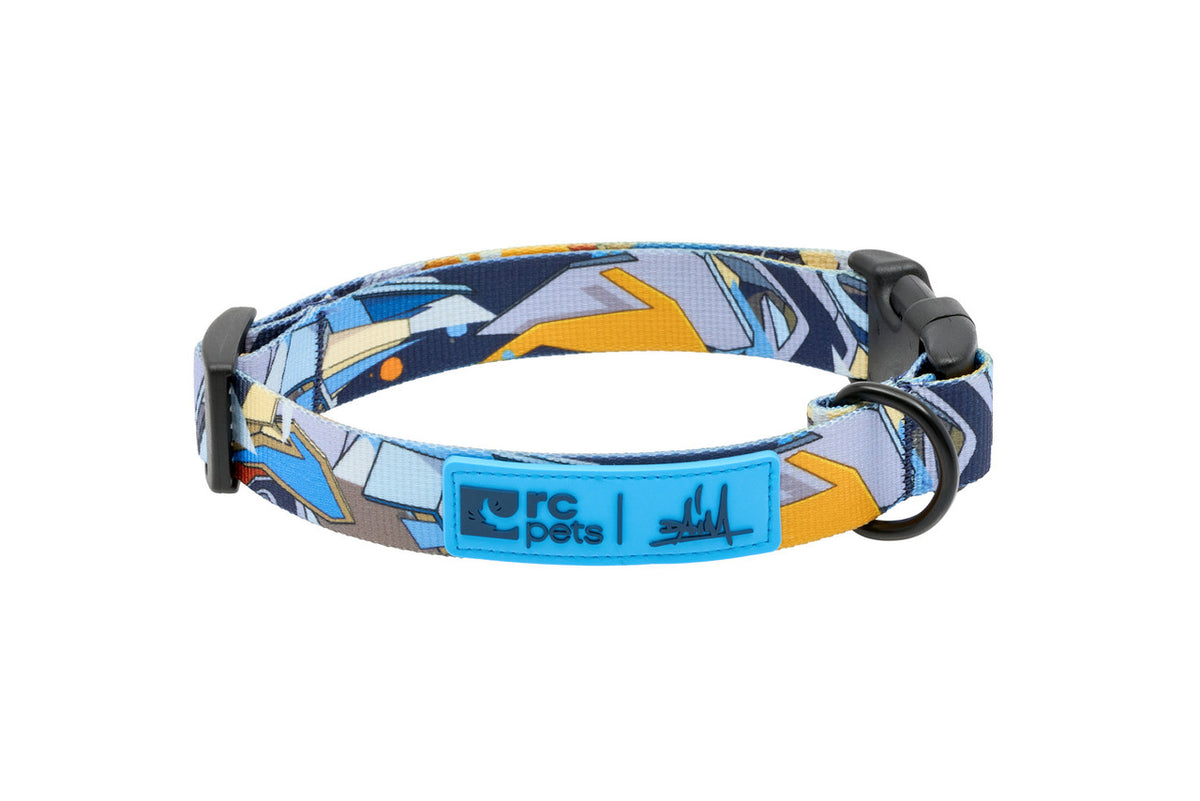 RC Pet Products Artist Series Collar - Daim D1