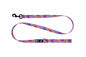 RC Pet Products Artist Series Leash - Runt R1