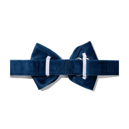 Channing Dog Bow Tie
