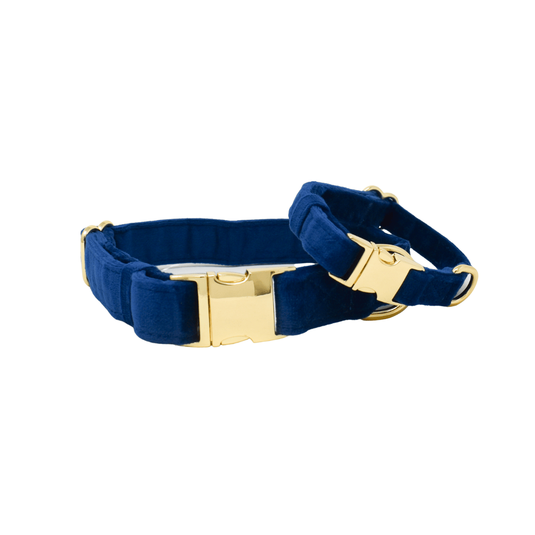 Channing Dog Collar
