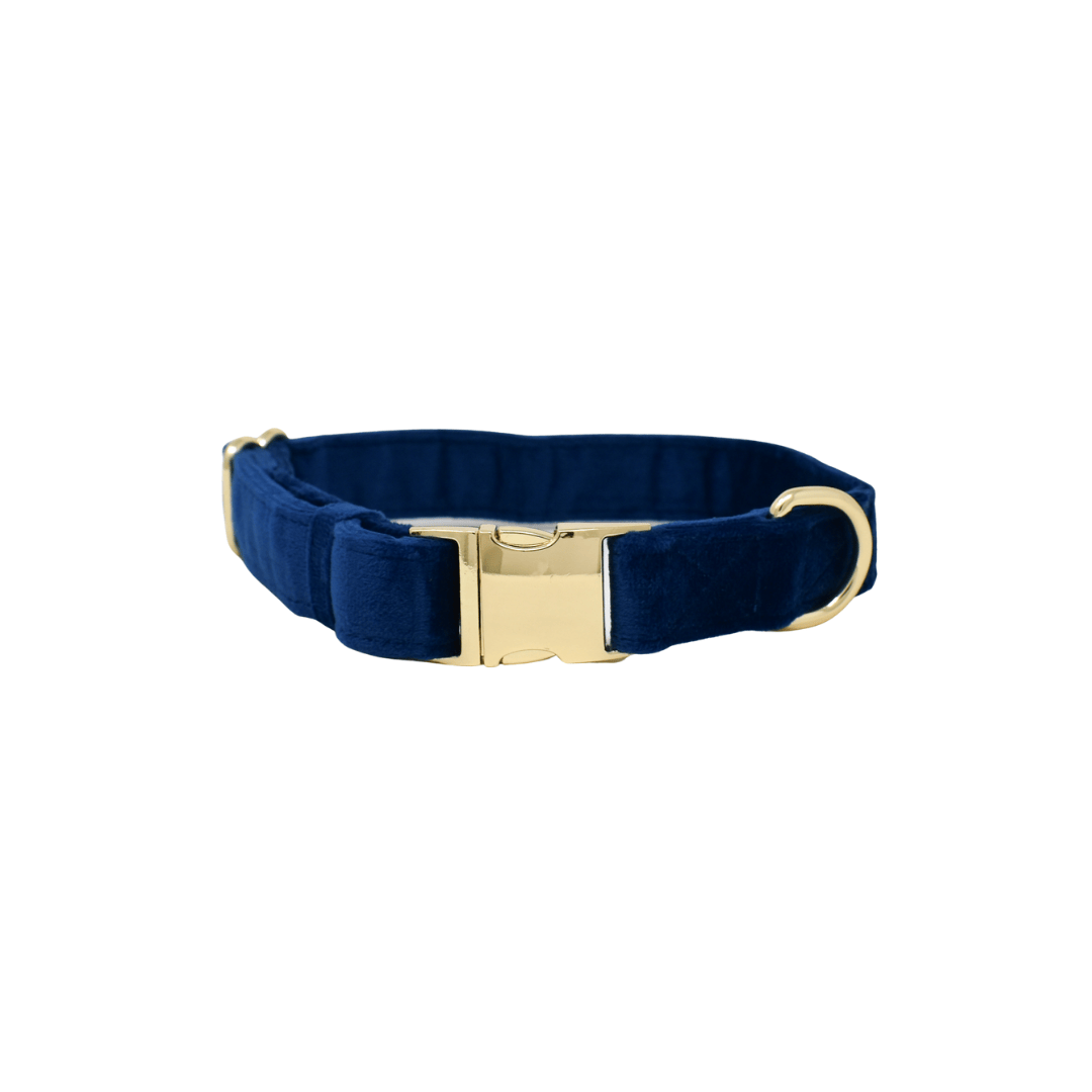 Channing Dog Collar