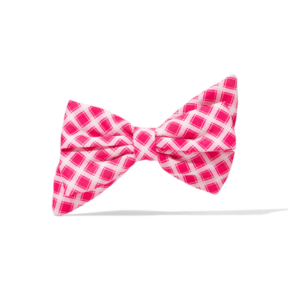 Chrishell Dog Babe Bow