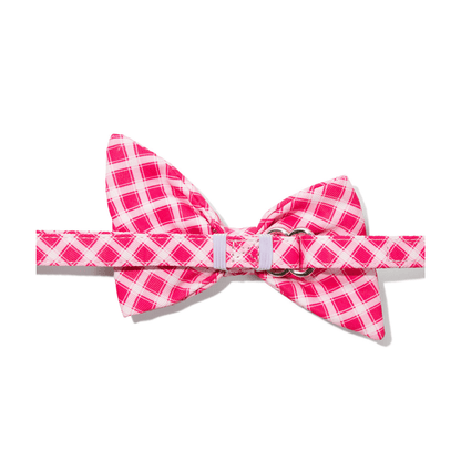 Chrishell Dog Babe Bow
