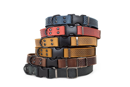 Celtic Sport Leather Collar