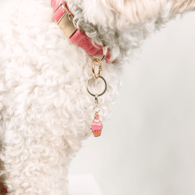 Cupcake Pet Charm
