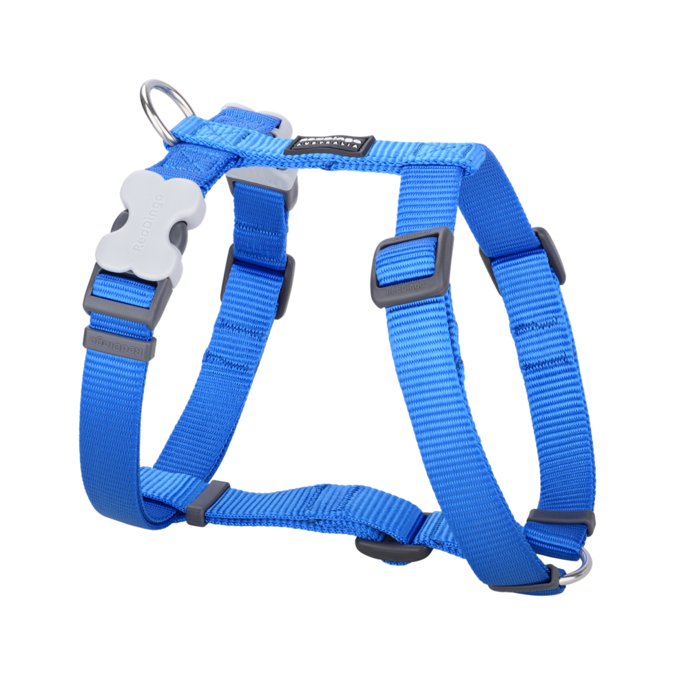 Dog Harness Electric Blue