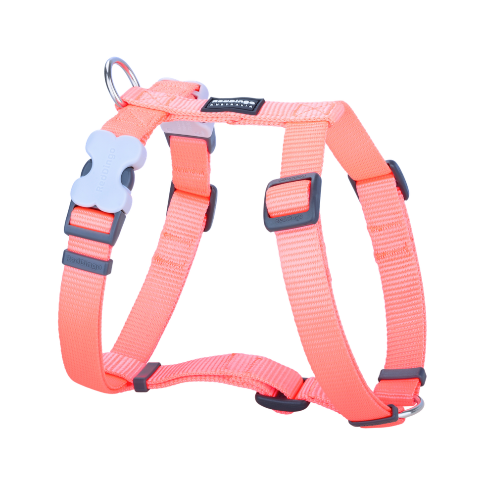 Dog Harness Hi-Vis Peach