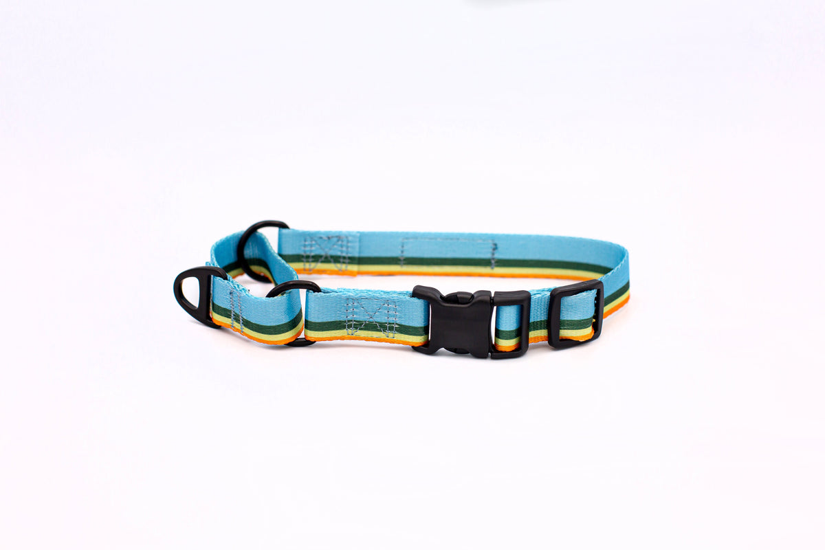 Outdoor Style Nylon Martingale Collar