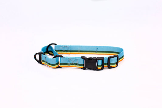 Outdoor Style Nylon Martingale Collar