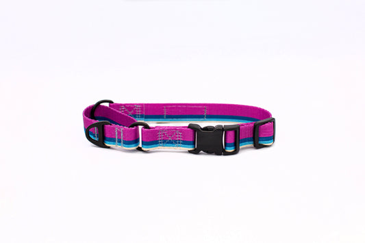 Outdoor Style Nylon Martingale Collar