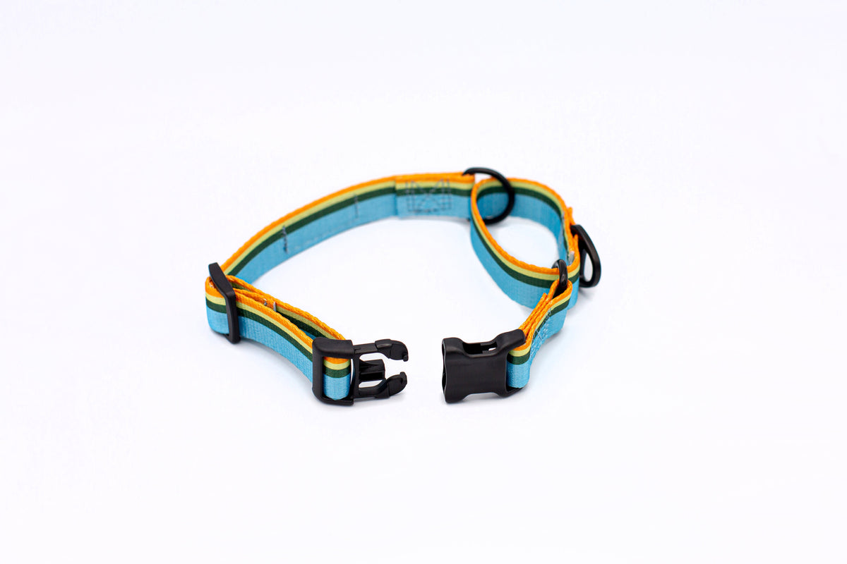 Outdoor Style Nylon Martingale Collar