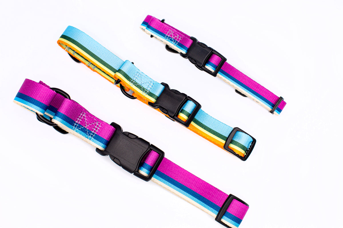 Outdoor Style Nylon Martingale Collar