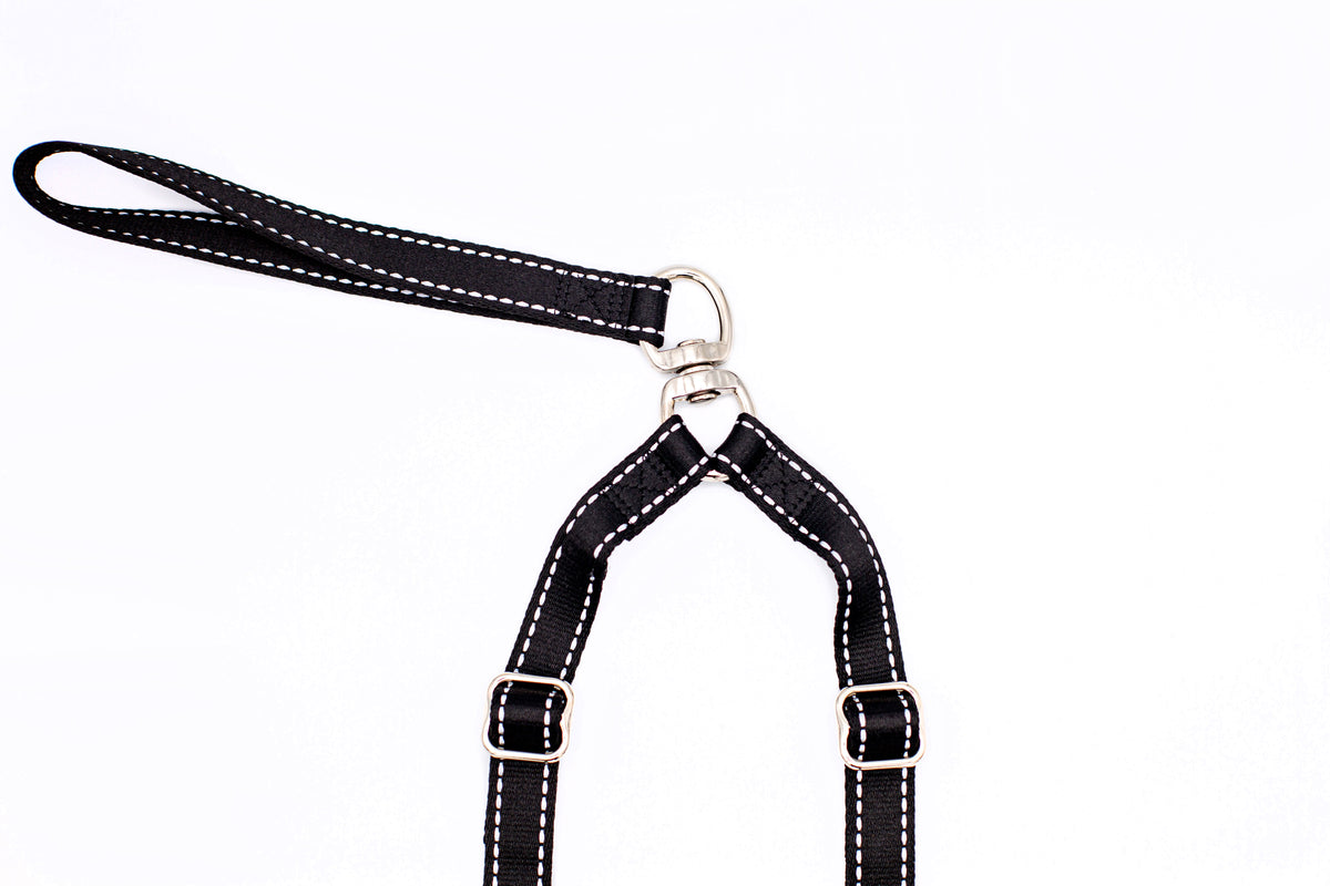 Double Leash
