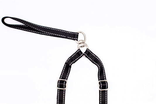 Double Leash