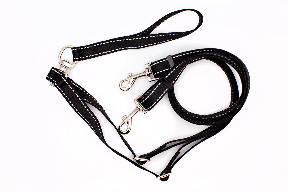 Double Leash