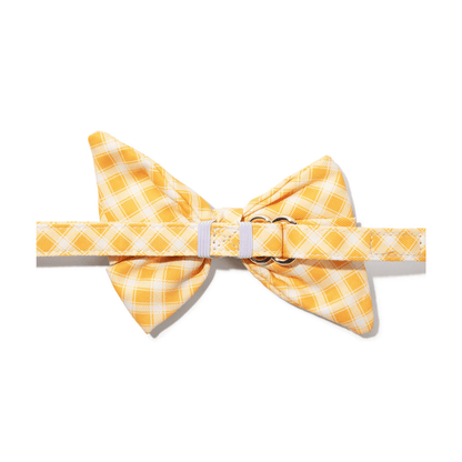 Daisy Dog Babe Bow