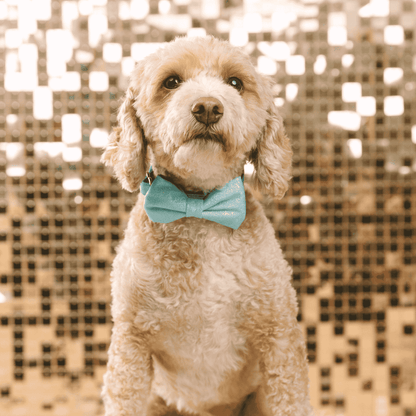 Dawson Dog Bow Tie