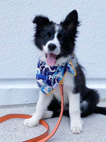 Destin Dog Bandana
