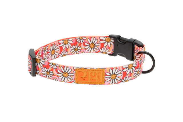Eco Collar