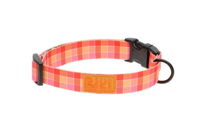Eco Collar