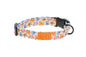 Eco Collar