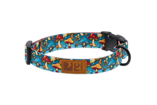 Eco Collar