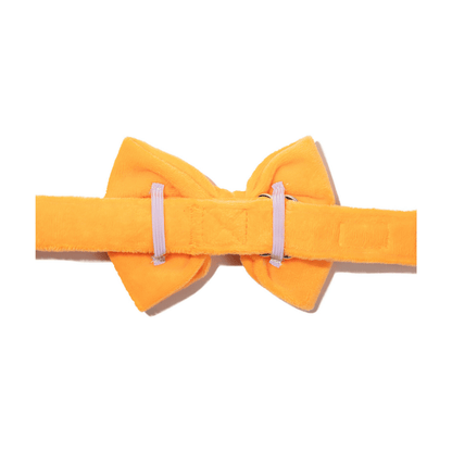 Ezra Dog Bow Tie