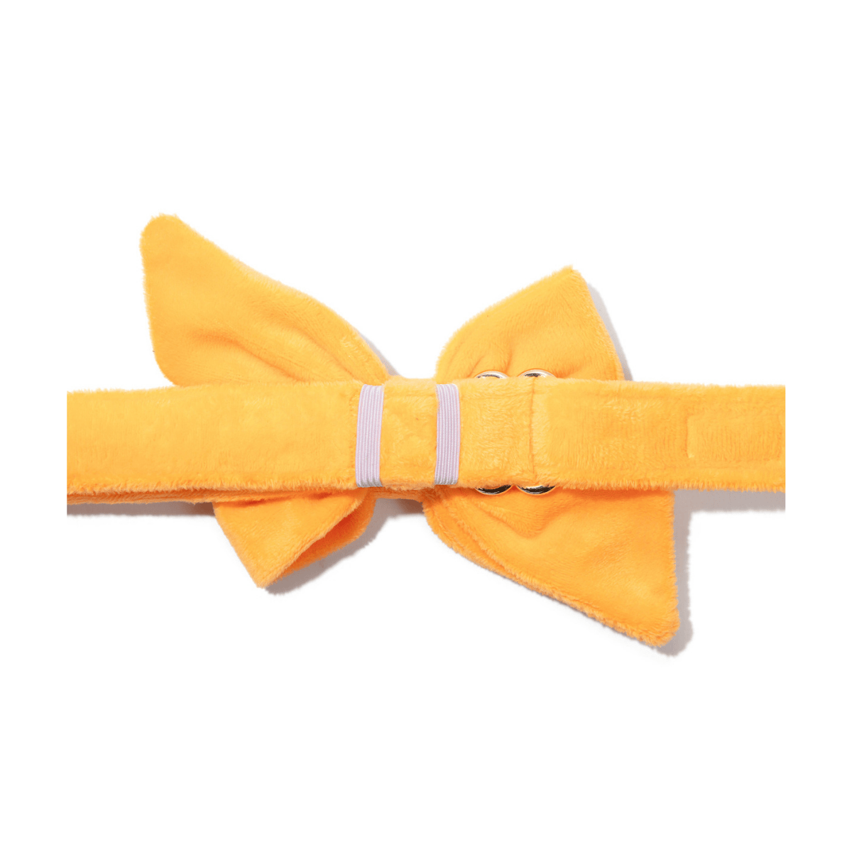 Ezra Dog Babe Bow