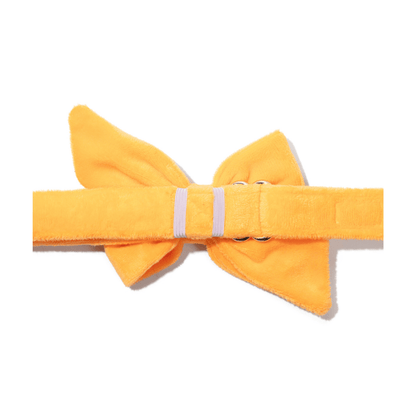 Ezra Dog Babe Bow