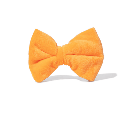 Ezra Dog Bow Tie