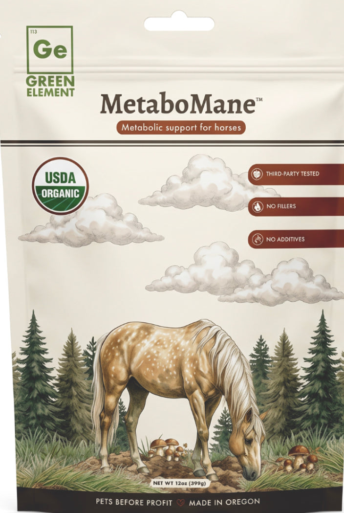 Green Element MetaboMane metabolic support for horses, USDA organic, third-party tested, no fillers, no additives