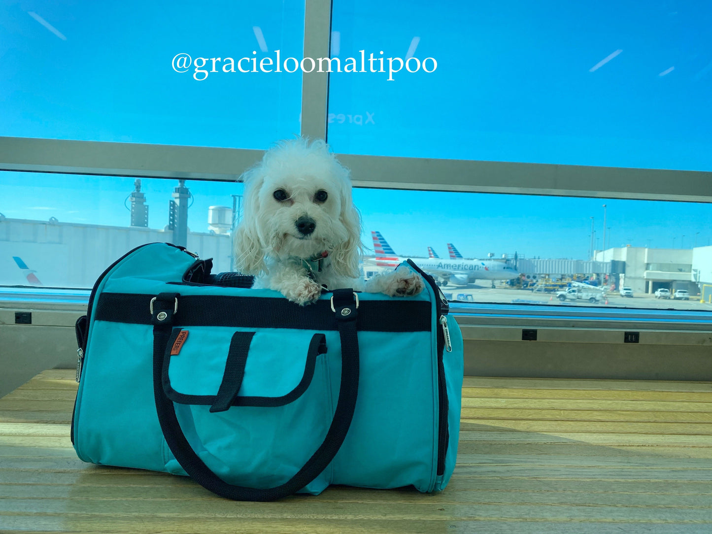 312 Hideaway™ Duffel Pet Carrier