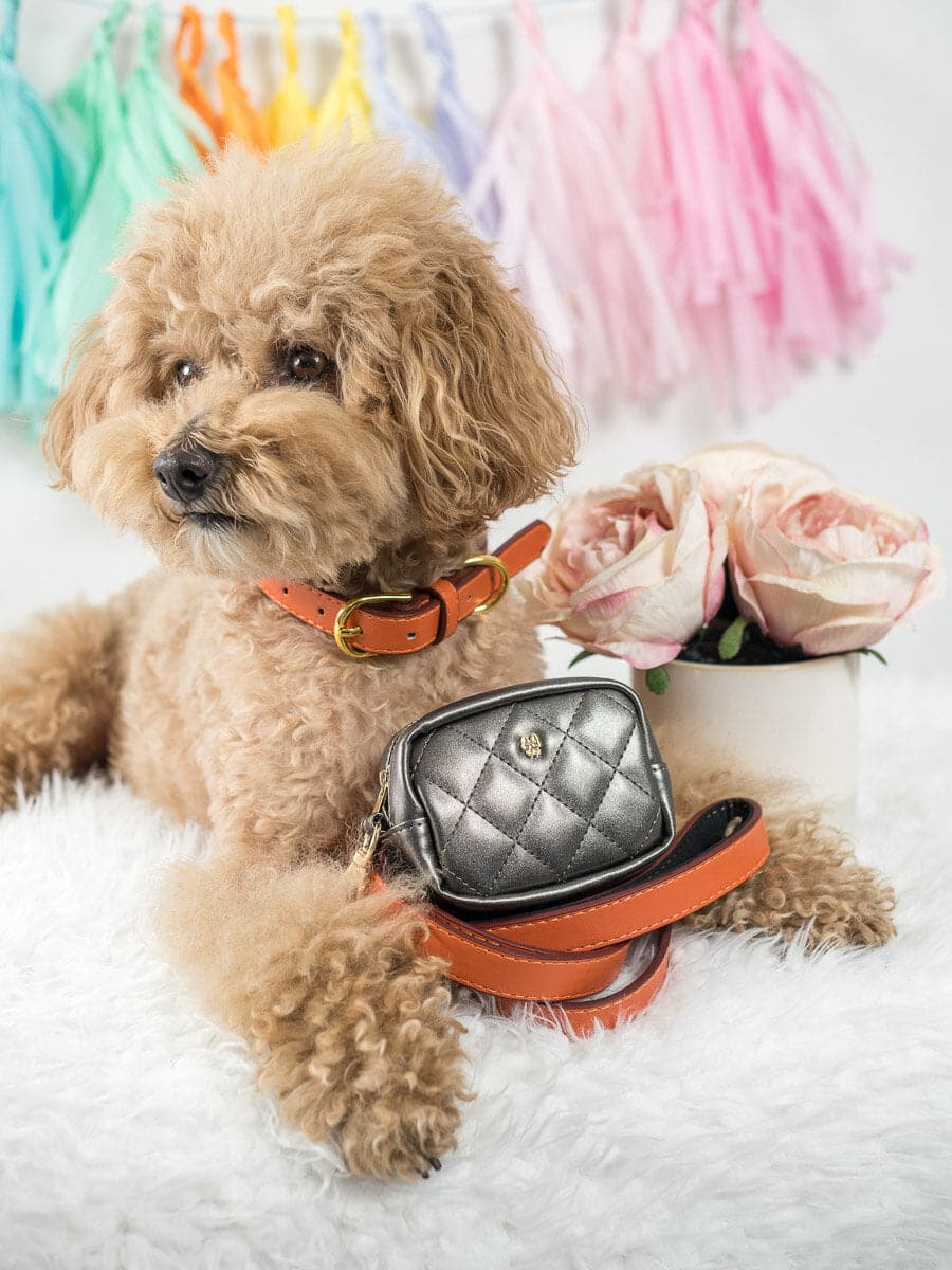 Ainsley Vegan Leather Dog Collar
