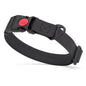 Waterproof Dog Collar with Safety Lock Buckle