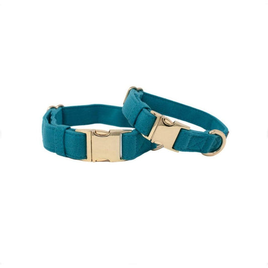 Hayden Dog Collar