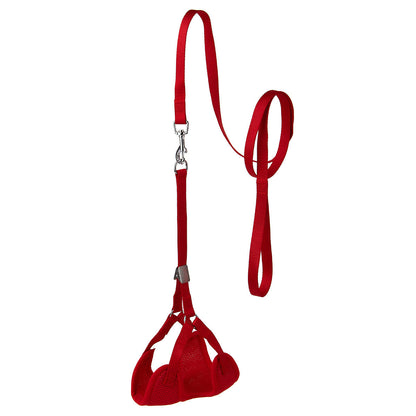 Mesh Step-In Nylon Dog Harness + Optional Flower Dog Leash