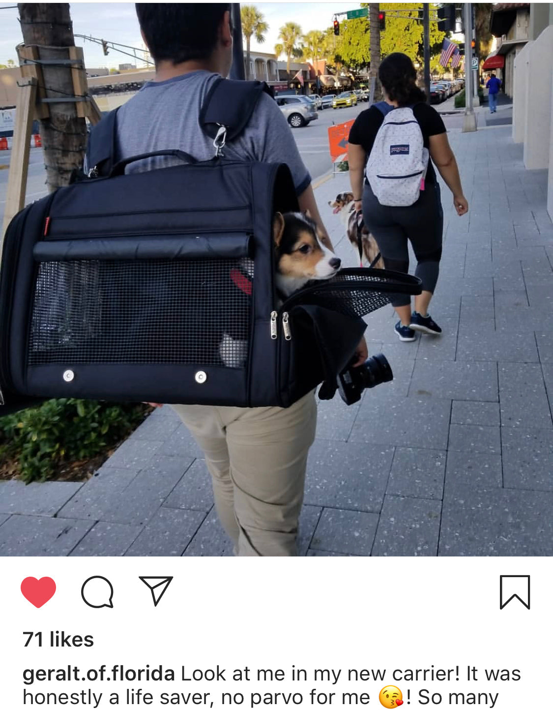 358 Hideaway™ XXL Backpack Pet Carrier