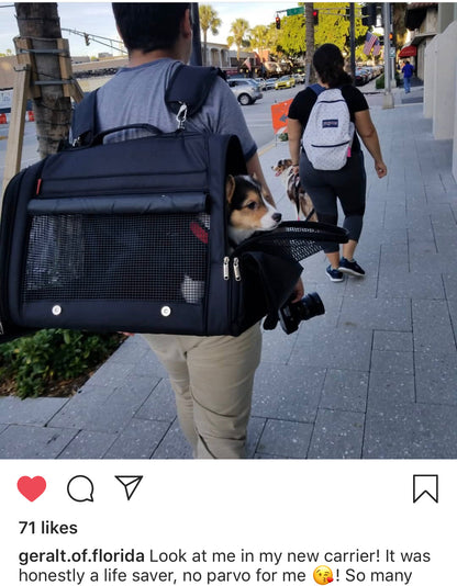358 Hideaway™ XXL Backpack Pet Carrier